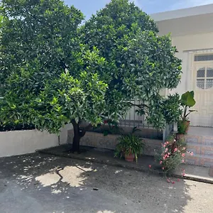 Pensjonat For Rent Habipi, Wlora